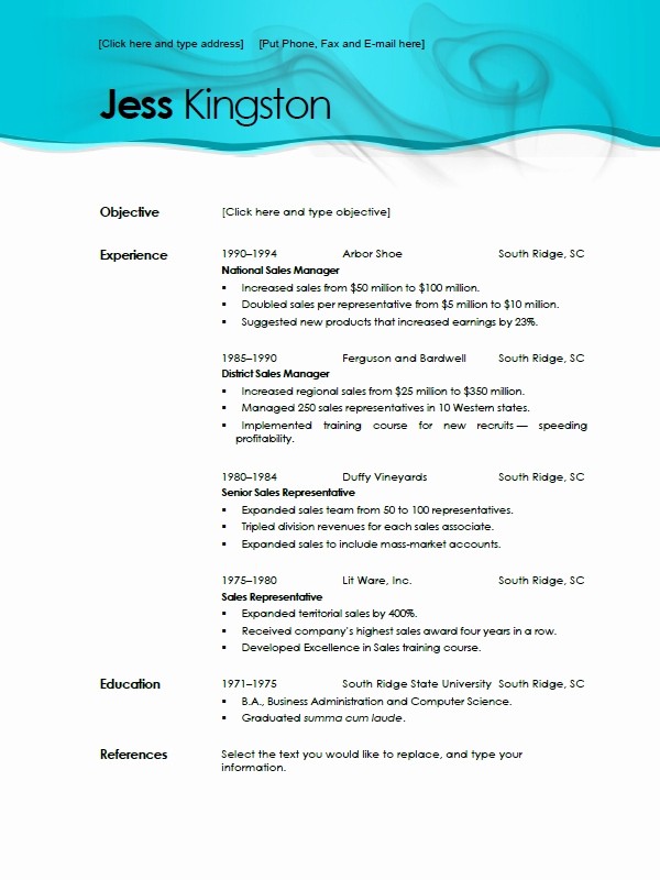 Professional Resume Templates Microsoft Word Unique Best S Of Resume Templates Microsoft Word 2010