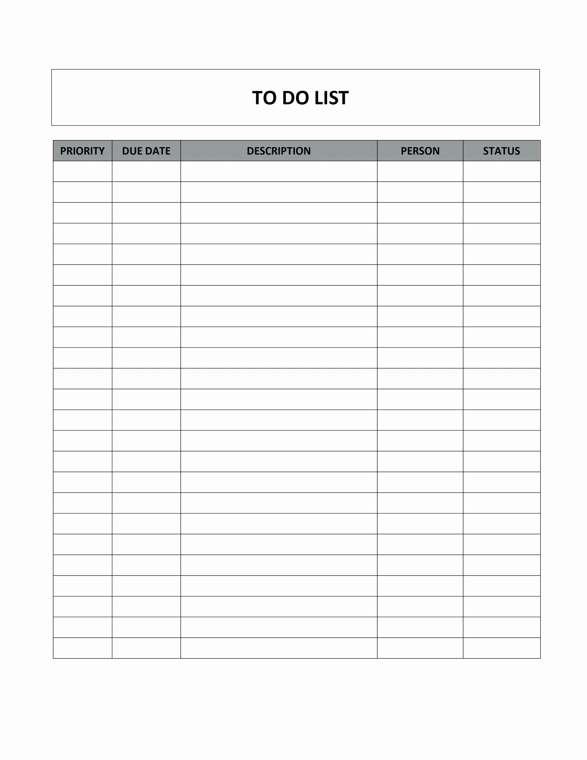 Professional to Do List Template Inspirational Template Risk Management Checklist Template