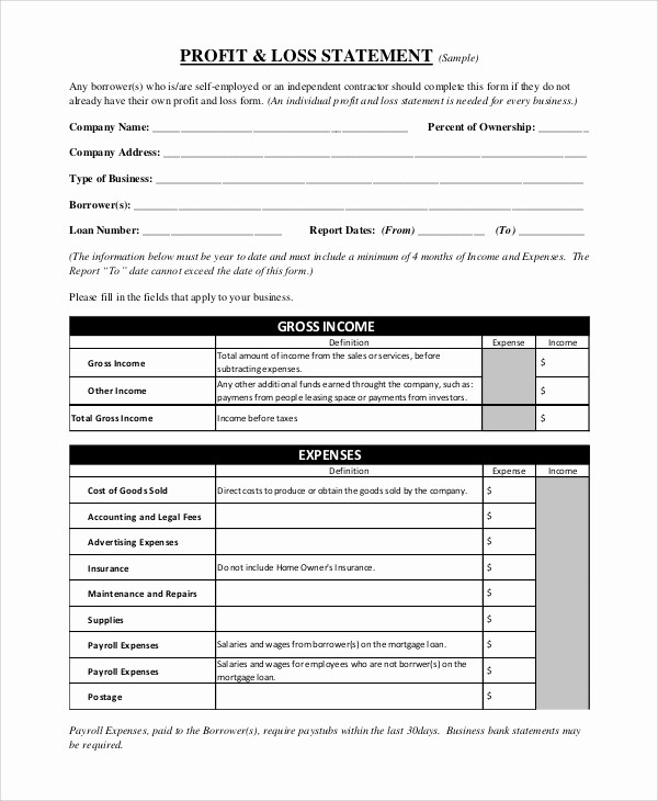 Profit &amp;amp; Loss Statement form New 9 Sample Profit and Loss forms