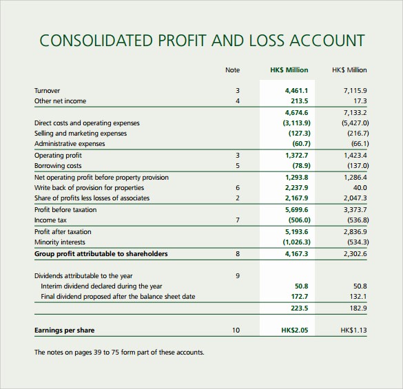 Profit and Loss Account Sheet Best Of Profit and Loss Template 20 Download Free Documents In