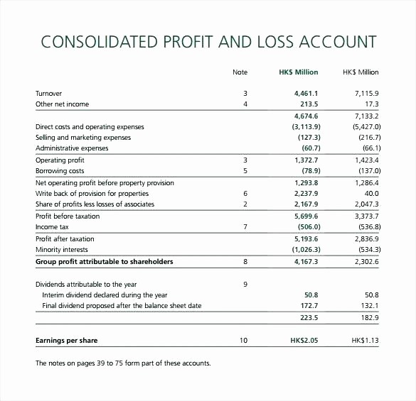 Profit and Loss Account Template Awesome Profit and Loss Statement Template Free In Personal