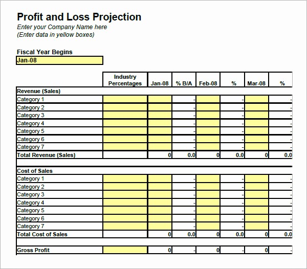 Profit and Loss Account Template Fresh 19 Sample Profit and Loss Templates