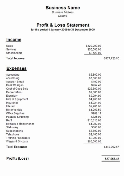 Profit and Loss Account Template New Profit and Loss Statement Template