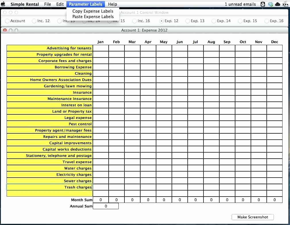 Profit and Loss Excel format Elegant Template Profit and Loss Statement Template In Excel