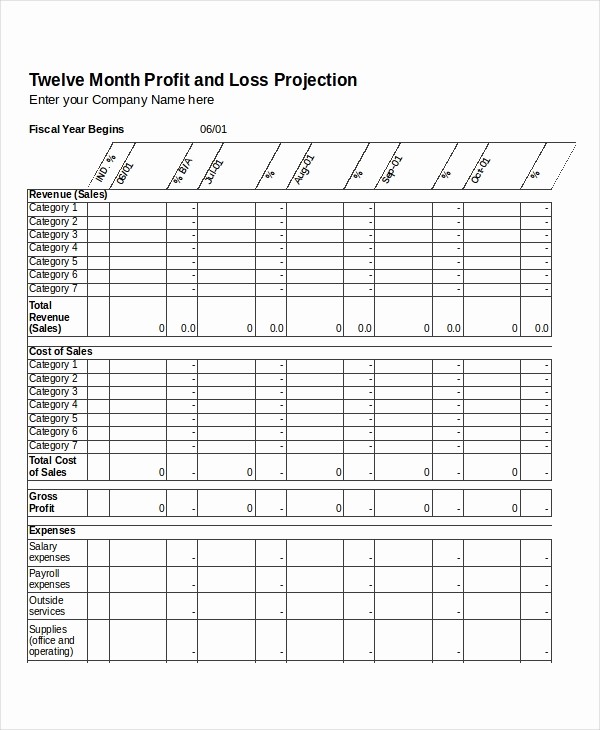 Profit and Loss Excel format Fresh 12 Profit and Loss Templates In Excel