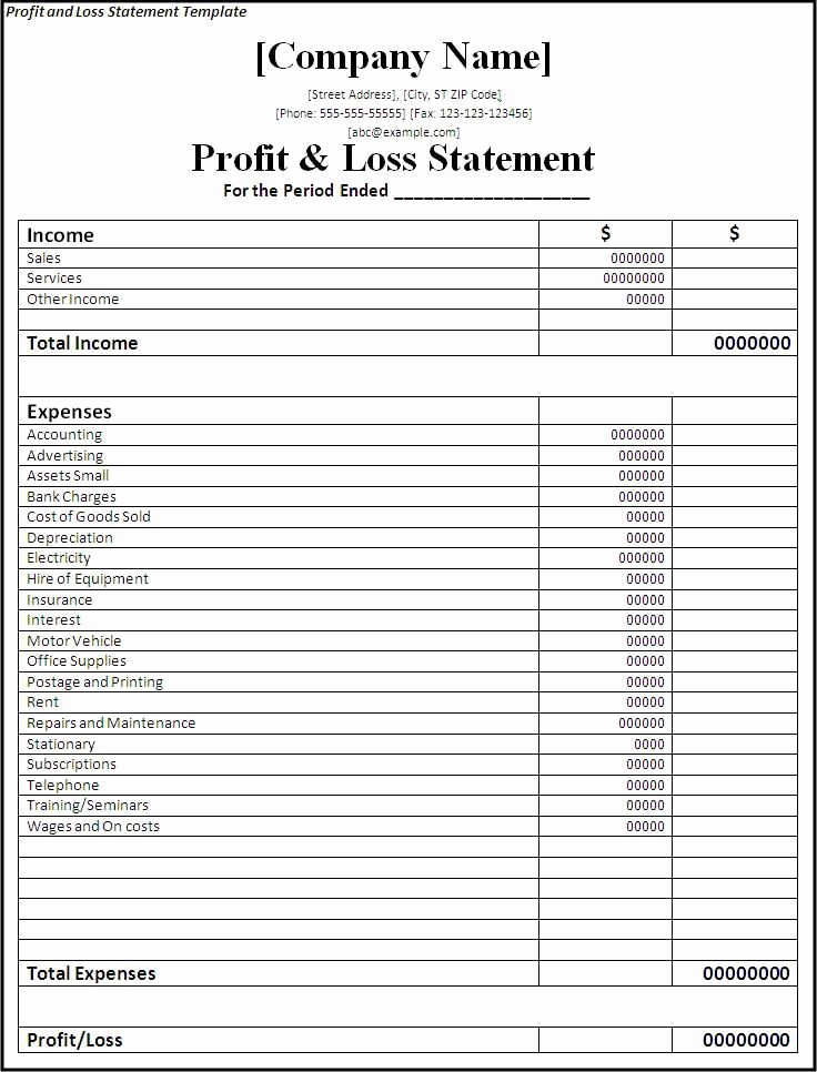 Profit and Loss Excel format Unique Profit and Loss Statement Template Planners