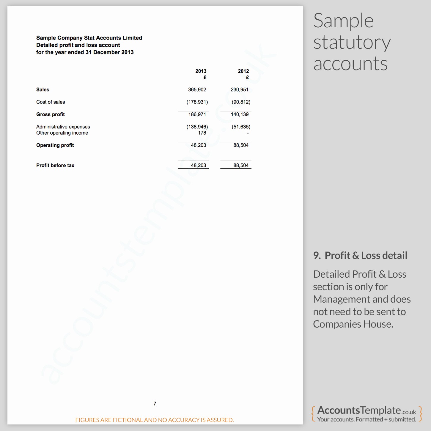 Profit and Loss Report Template Fresh A Guide to the Statutory Accounts format