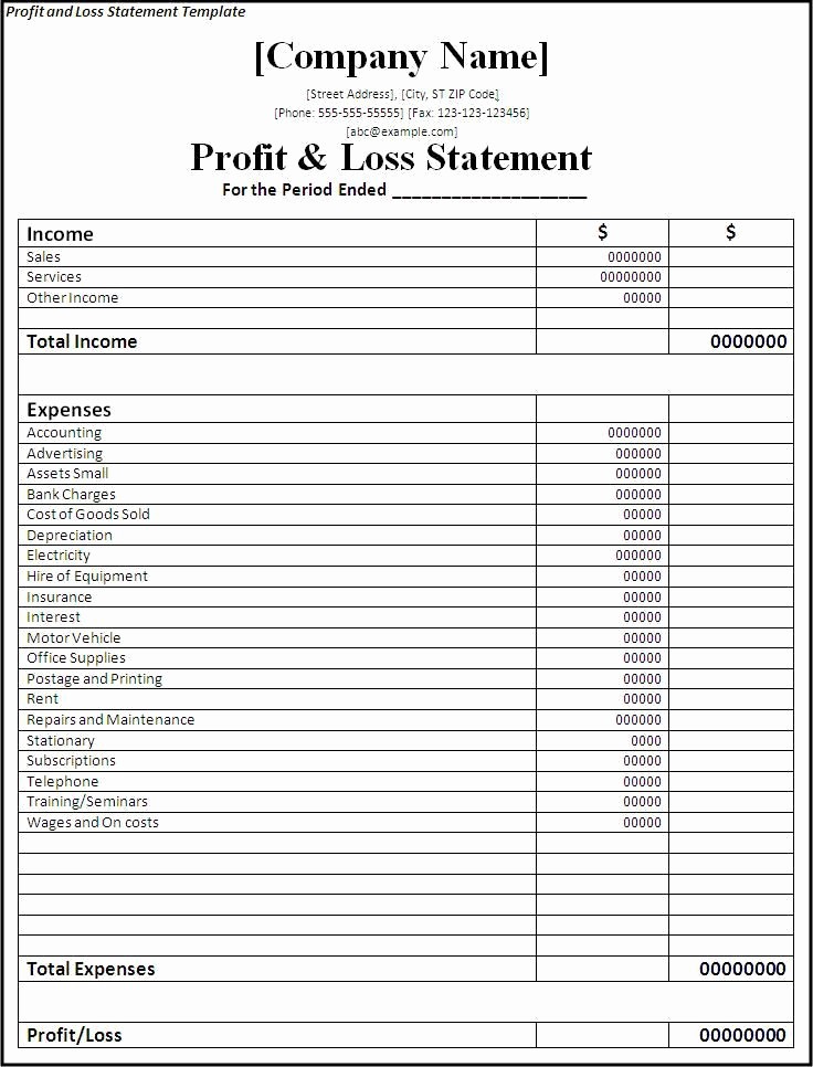 Profit and Loss Sheet Examples Best Of Profit and Loss Statement Template Planners