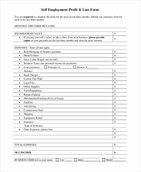 Profit and Loss Sheet Examples Inspirational 9 Sample Profit and Loss forms