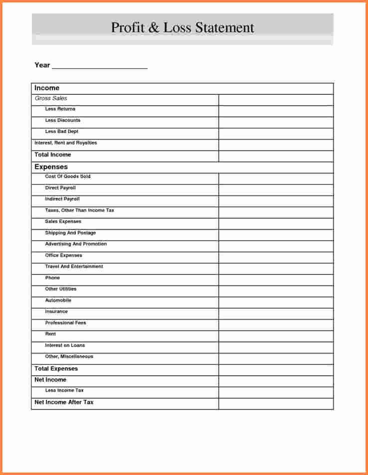 Profit and Loss Sheet Template Luxury 3 Profit and Loss Spreadsheet Example