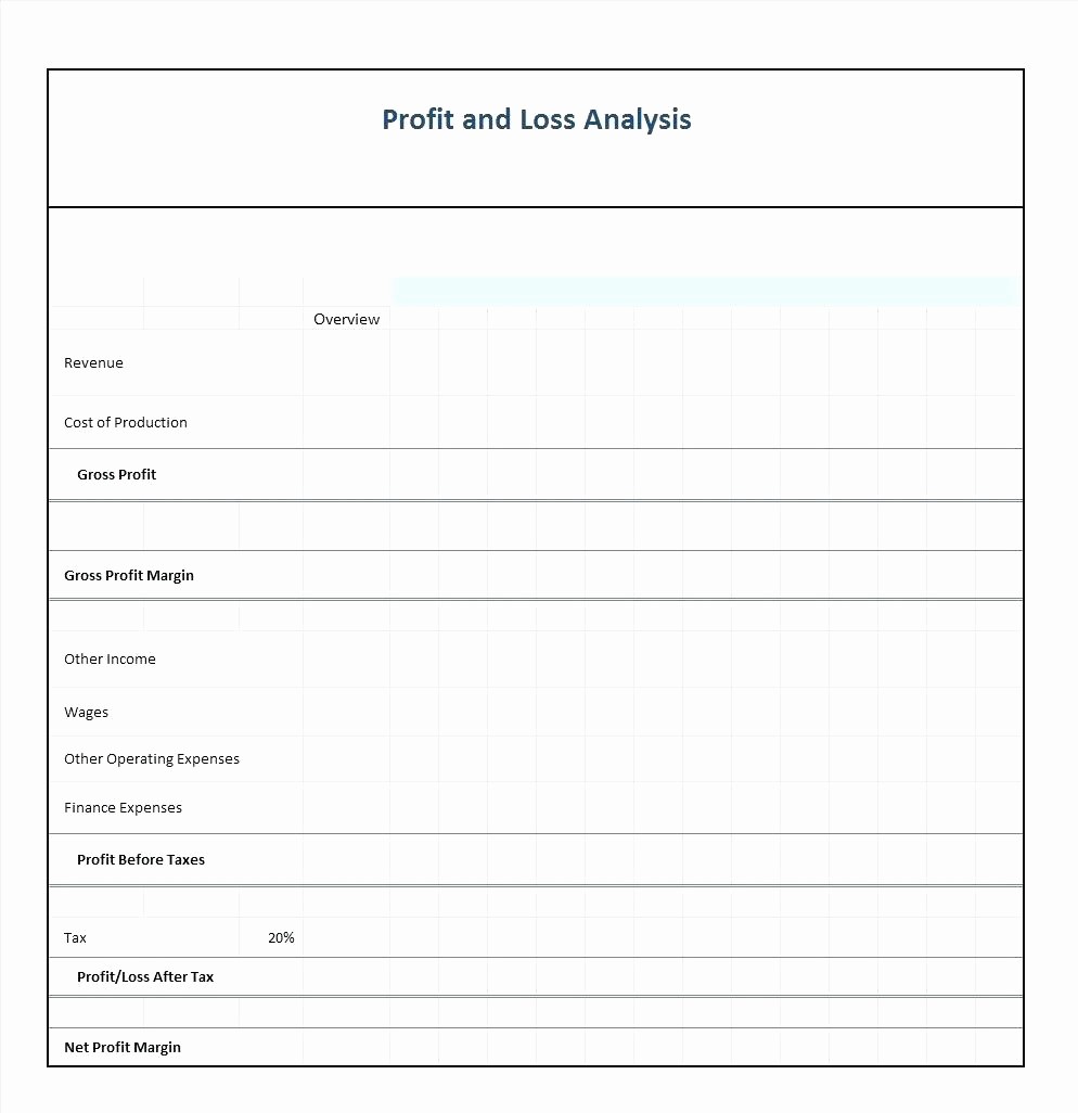 Profit and Loss Statement Simple Lovely Template Profit and Loss Template Simple