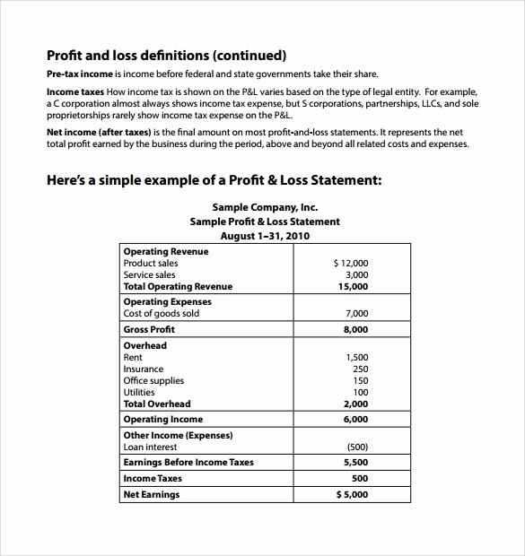 Profit and Loss Statements Examples Luxury 9 Sample Profit and Loss Statements