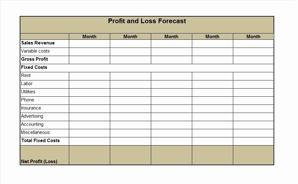 Profit and Loss Statements Template Inspirational 35 Profit and Loss Statement Templates &amp; forms
