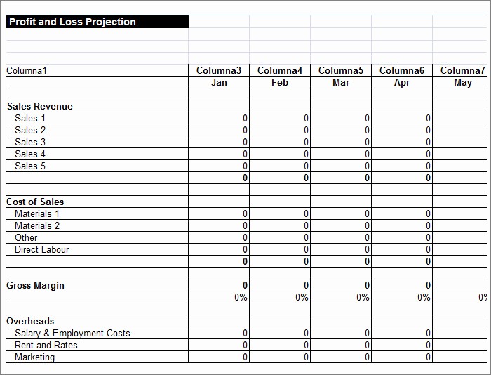 Profit Loss Statement Template Excel Beautiful 12 Profit and Loss Statements Word Pdf