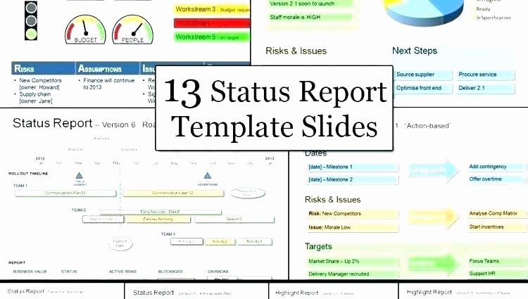 Program Management Status Report Template Best Of Program Management Status Report Template Project