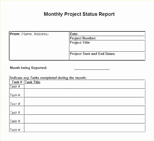 Project Management Progress Report Template Fresh Status Report Template Excel New Weekly Project Progress