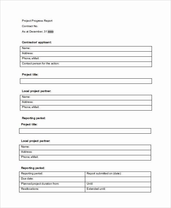 Project Management Progress Report Template New 49 Report Templates Free Sample Example format