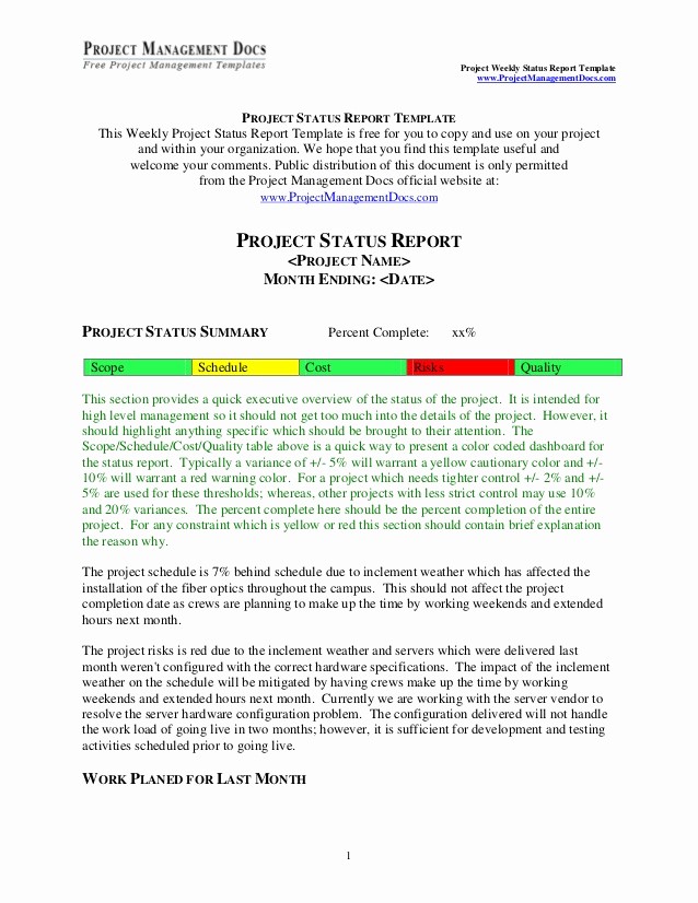 Project Management Status Report Example Unique Project Status Report