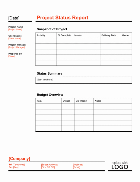 Project Report format In Word Beautiful Project Status Report Template Word Templates