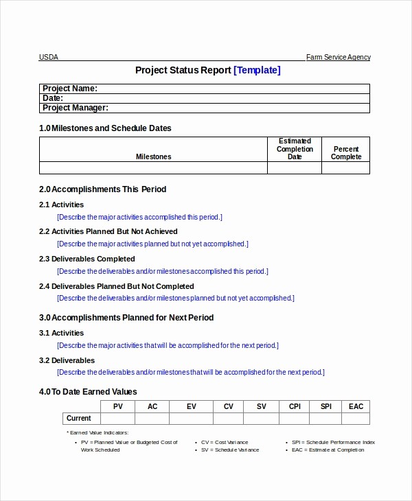 Project Report format In Word Inspirational 19 Printable Project Status Report Templates Google Docs