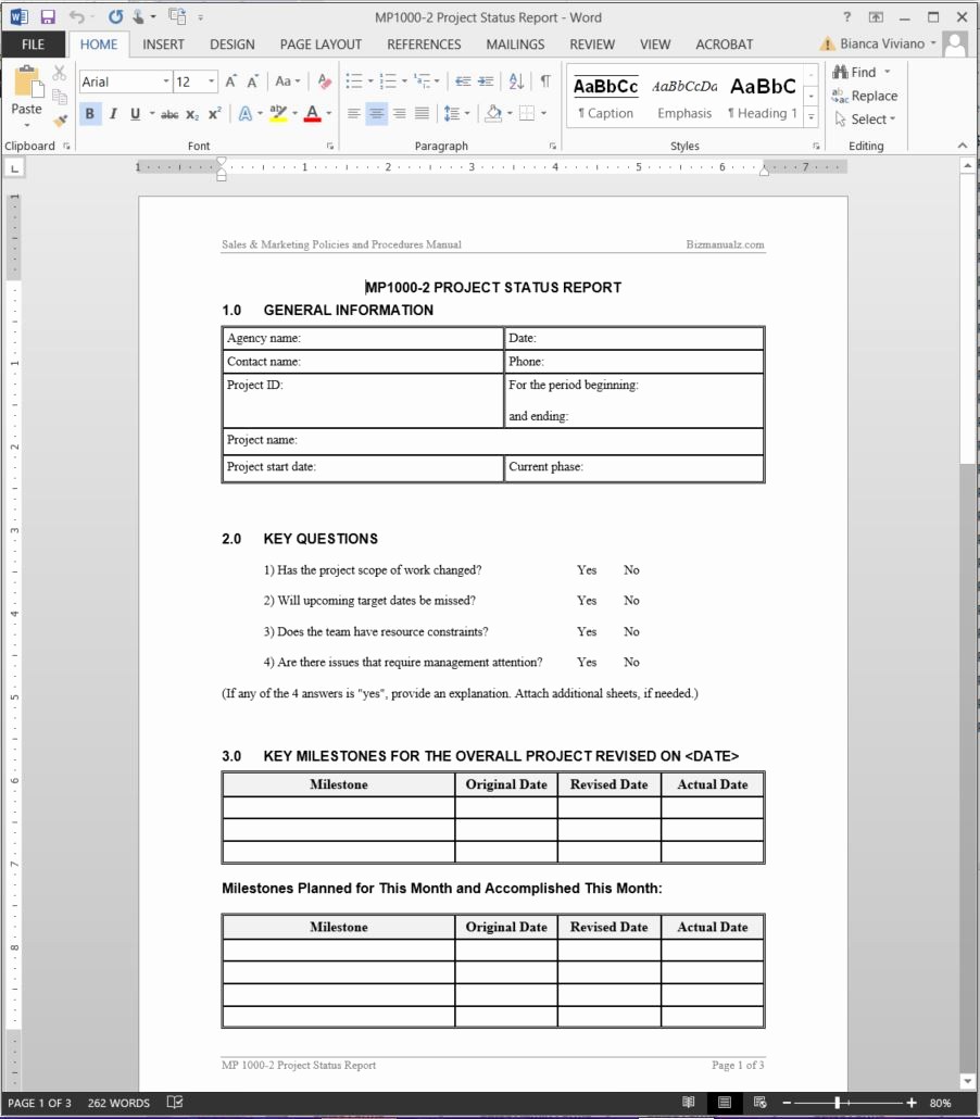 Project Report format In Word Lovely Status Report Template Resume Trakore Document Templates