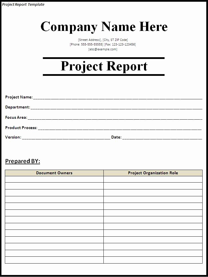 Project Report format In Word Luxury 15 Report Templates Excel Pdf formats