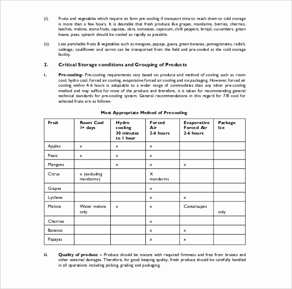 Project Report format In Word Unique 18 Project Report Templates Doc Pdf