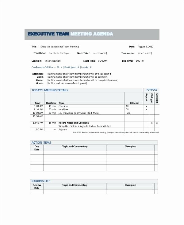 Project Team Meeting Agenda Template Elegant Conference Call Agenda Template Up Date Portrayal Word 8