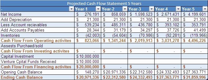 Projected Cash Flow Statement Template Elegant Financial Plan Business Plan Financials
