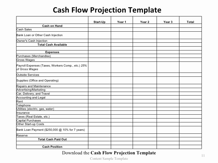 Projected Cash Flow Statement Template New Cash Flow Projection Template