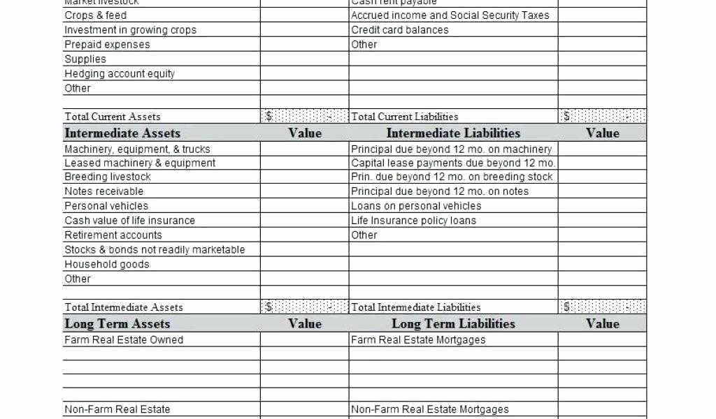 Real Estate Balance Sheet Example Beautiful Balance Sheet Template Insurance Agent 13 Things Your Boss