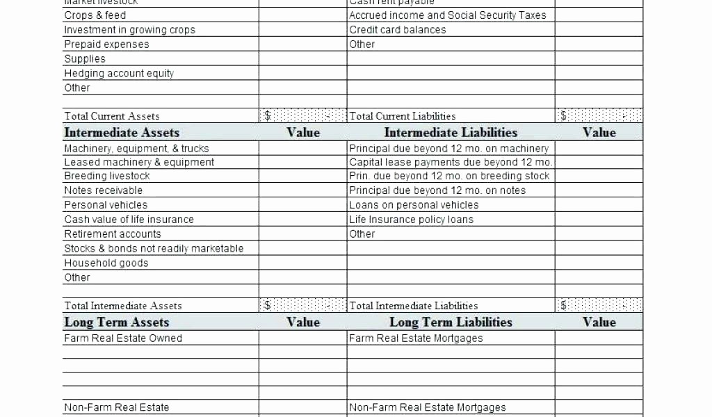 Real Estate Balance Sheet Example Elegant Term Sheet Template Real Estate – asrefo