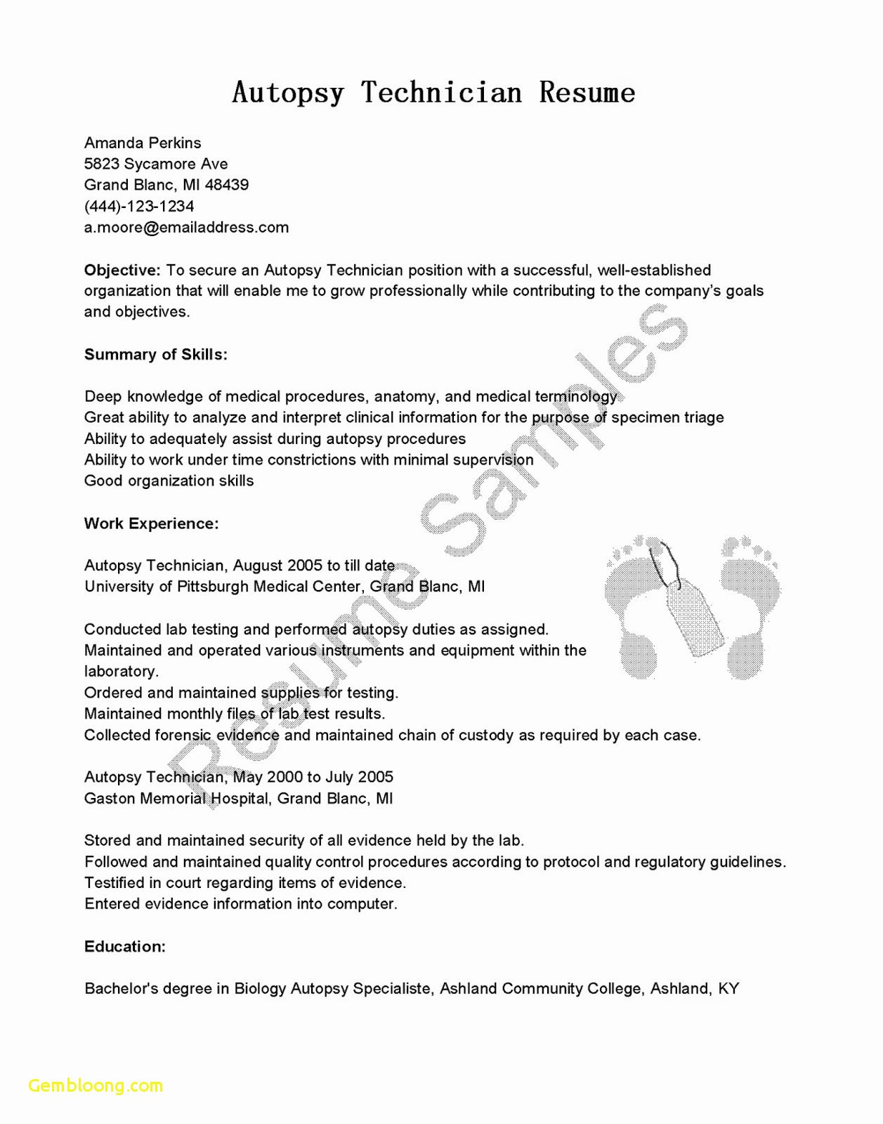 Resume Cover Letter Word Template Inspirational Employment Cover Letter Template Word Examples