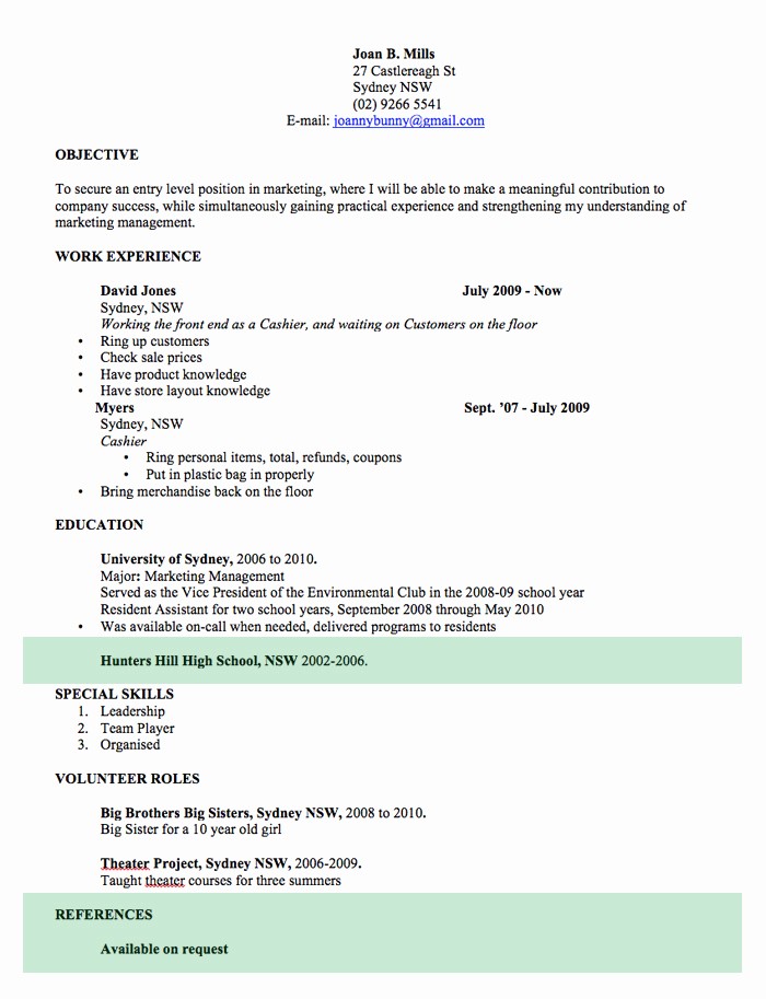 Resume Examples In Word format Best Of Cv Template