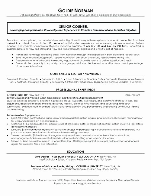 Resume for Internal Promotion Template Lovely Resume Template Internal Promotion for Fine Audit format