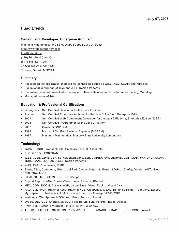 Resume format In Microsoft Word New Resume In Ms Word format