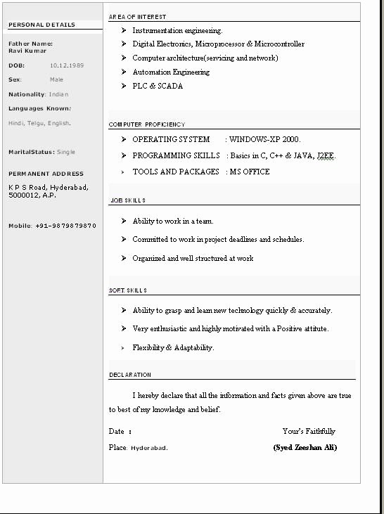 Resume format In Ms Word Unique Cv format Word Free Professional Cv format In Ms Word Doc