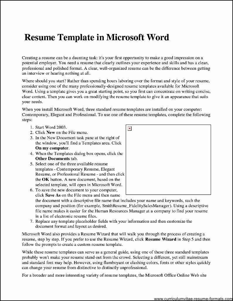 professional resume template microsoft word 2007
