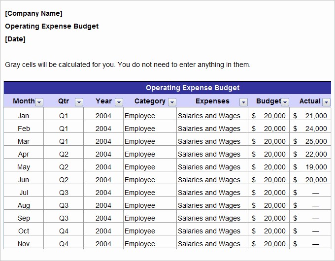 Sales and Marketing Budget Template New Marketing Bud Template 22 Free Word Excel Pdf