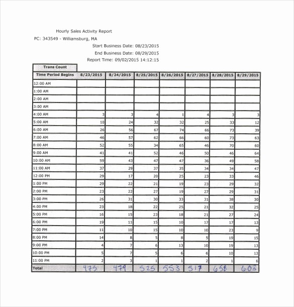 Sales Rep Activity Report Template Lovely 25 Sales Activity Report Templates Word Excel Pdf
