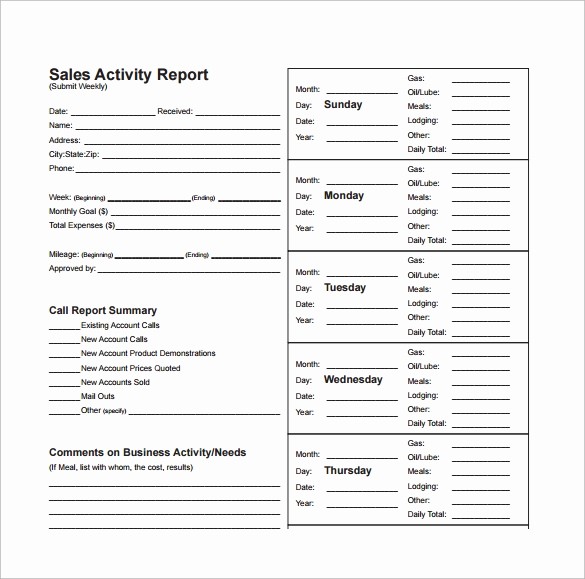 Sales Rep Activity Report Template Luxury 13 Sales Report Templates
