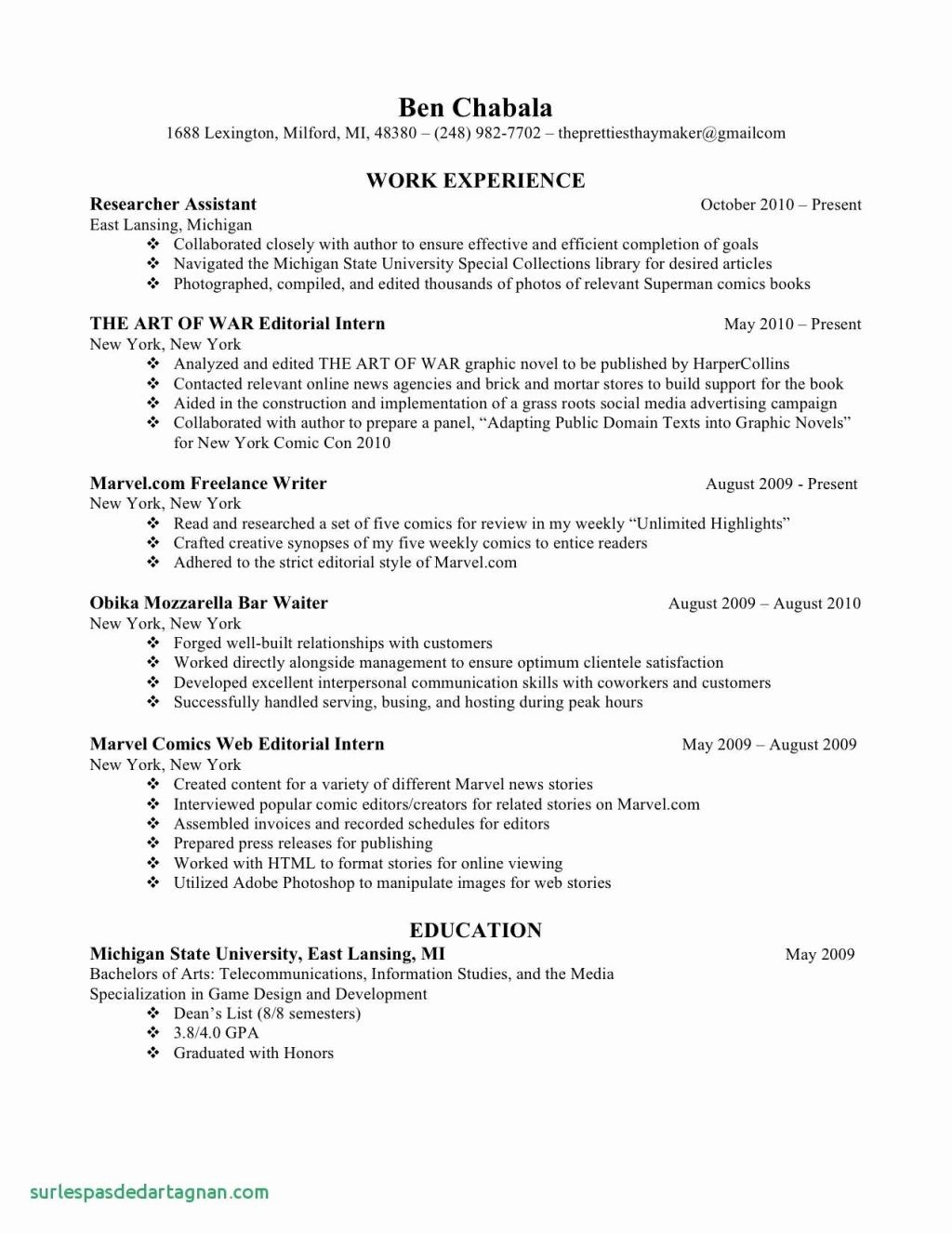 Sales Resume Template Microsoft Word Fresh Resume and Template Standard Resume Layout