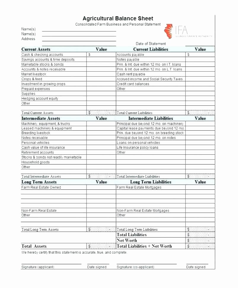 Sample Balance Sheet format Excel Awesome Bank Reconciliation Excel Checking Account Balance Sheet