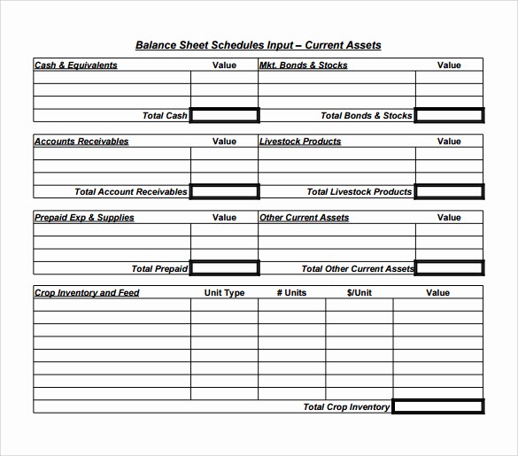 Sample Balance Sheet format Excel Elegant 18 Sample Balance Sheets