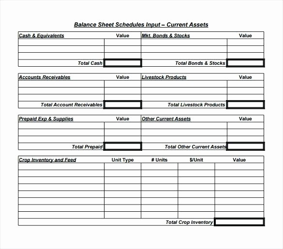 Sample Balance Sheet format Excel Elegant Excel Sheet format – Rightarrow Template Database