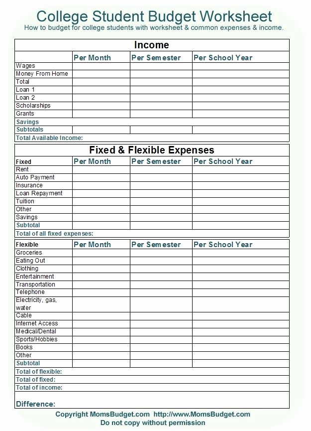 Sample Budget Template for Teenager New College Student Bud Worksheet Free Printable
