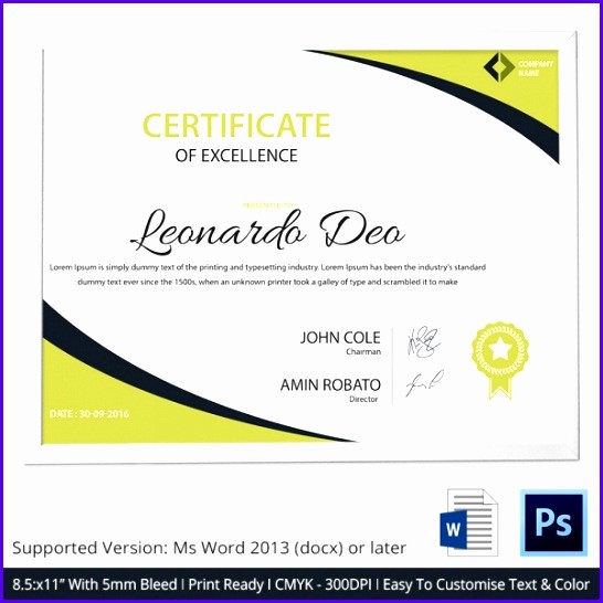 Sample P&amp;l Report Lovely 14 Certificate Excellence Template Exceltemplates