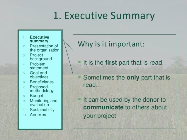 Sample Ppt for Project Presentation Lovely 10 Project Proposal Writing