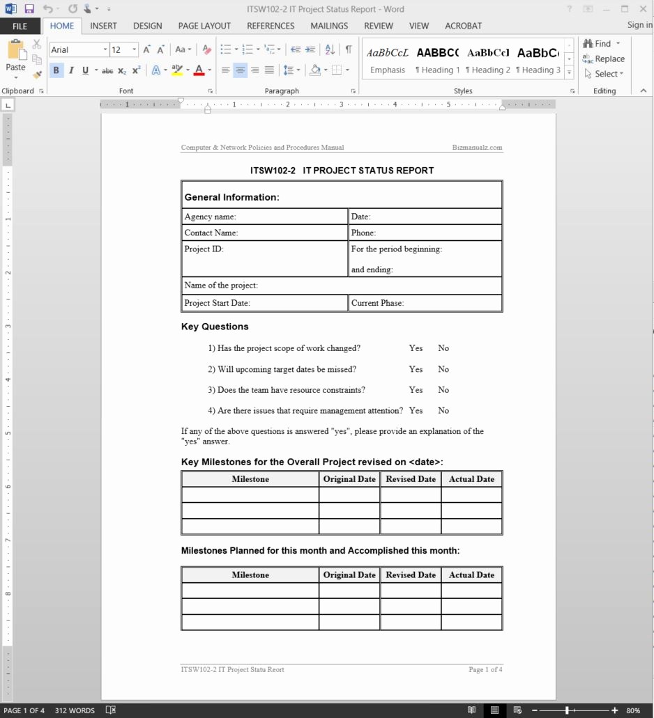 Sample Project Status Report Template Beautiful It Project Status Report Template