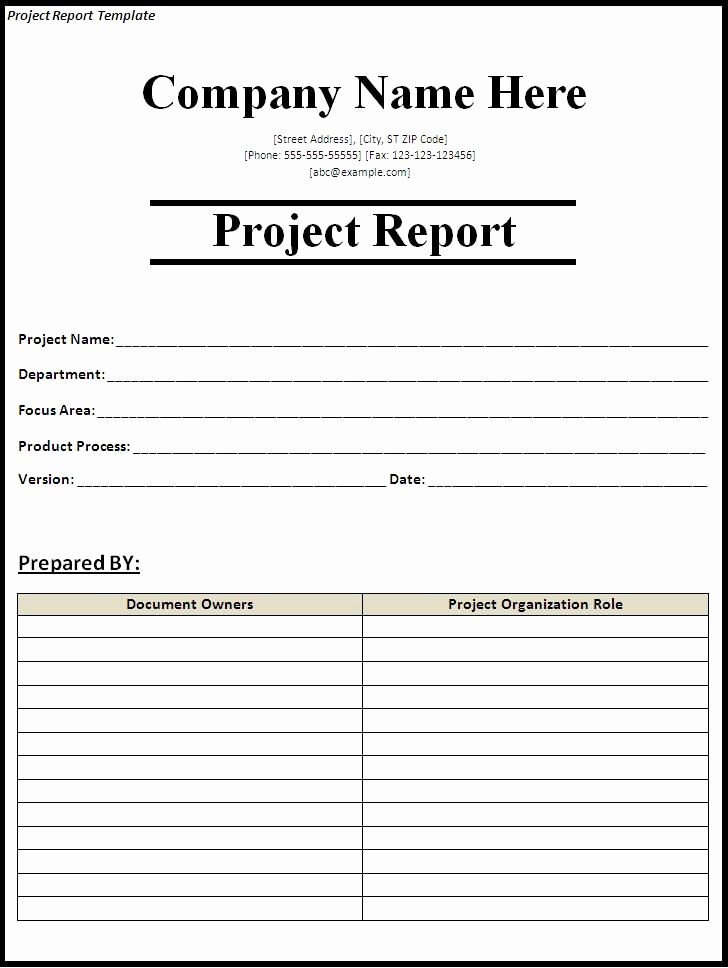 Sample Project Status Report Template Elegant Project Status Report Template Project Report Template